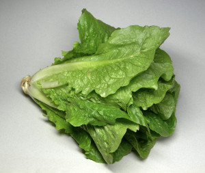 Head of romaine lettuce. Use a half of head cut lengthwise. Remove the root knob.